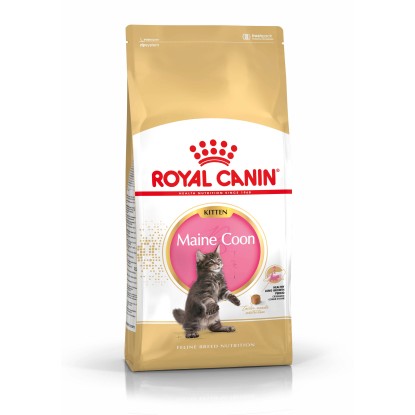 Croccanti per gatti Maine Coon Kitten Royal Canin 400 g