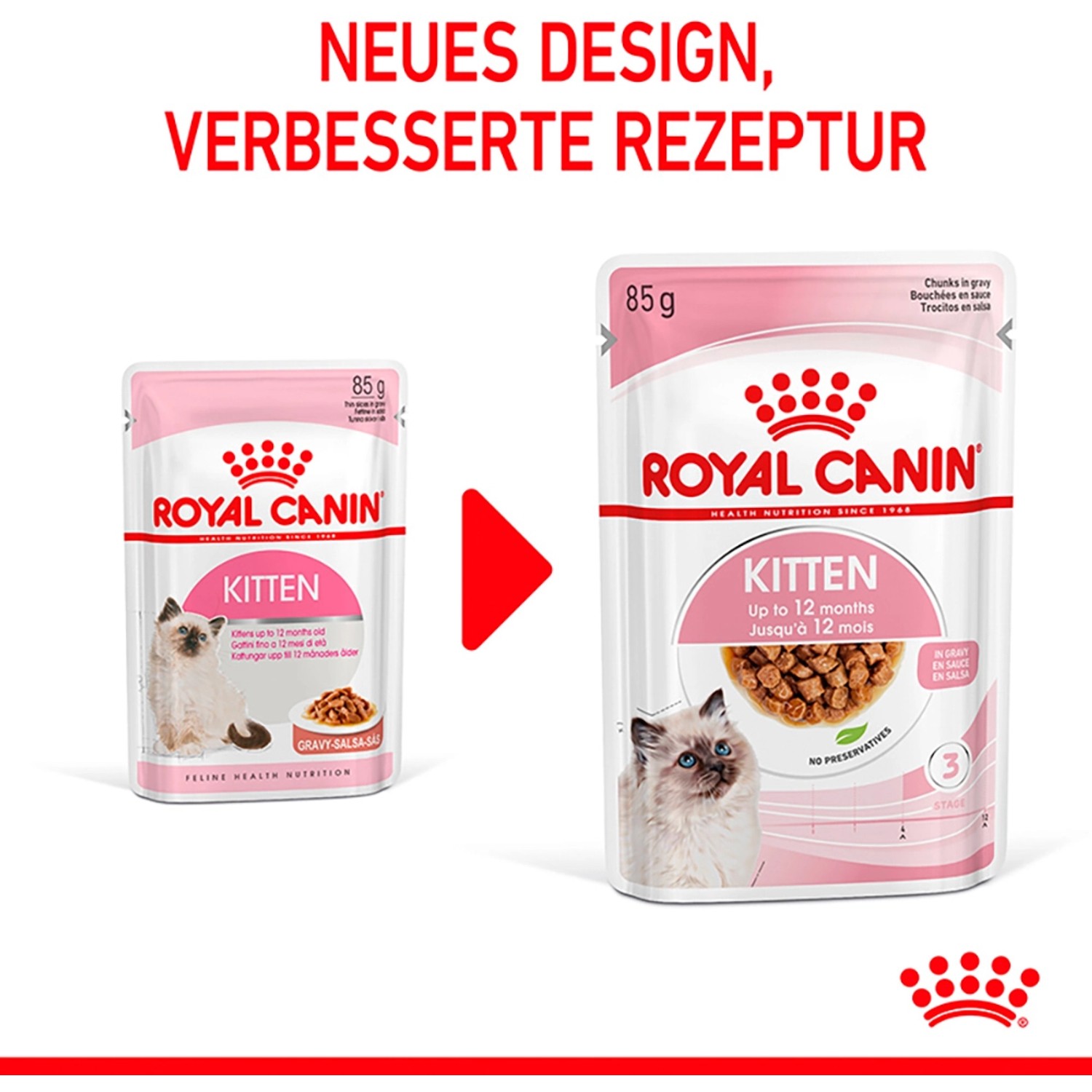 Royal Canin Kitten cibo umido in salsa, confezione da 85g per gattini