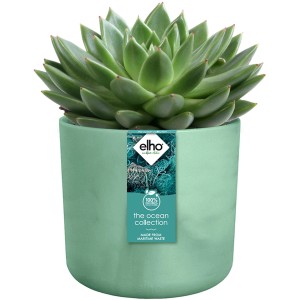 Vaso per fiori Elho Ocean Collection, Ø 16cm, verde pacifico, con succulenta.