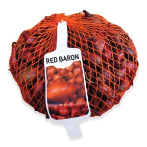 Rete di bulbilli di cipolla Red Baron, ideale per la coltivazione in giardino.