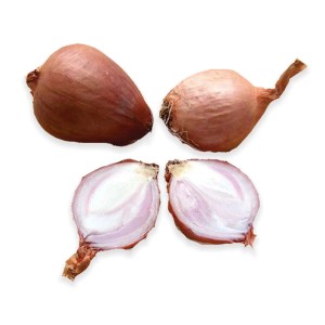 Cipolle intere e tagliate a metà, per la coltivazione in giardino.