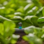 Gardena MDS Sprinkler a Striscia Finale: Sistema Micro-Drip per irrigare zone strette del giardino.