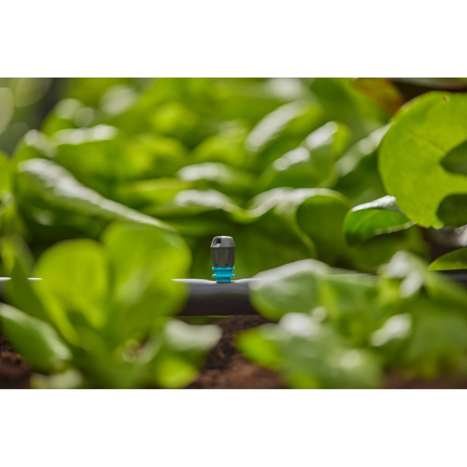 Gardena MDS Sprinkler a Striscia Finale: Sistema Micro-Drip per irrigare zone strette del giardino.