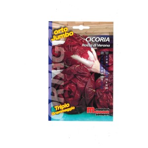 Confezione di semi di cicoria 'Rossa di Verona', una varietà di erba aromatica per l'orto.