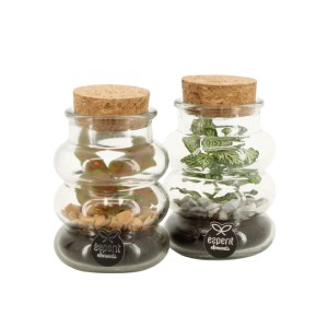 Crisantemo Stream Fusion Vaso Ø 12 cm