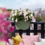 Elho Vibia Campana portafiori antracite con fiori rosa su una ringhiera del balcone.