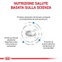 Grafica su cibo secco per cani altamente digeribile con proteine e carboidrati.