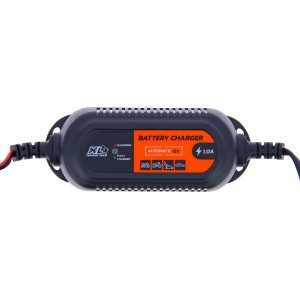 Caricabatteria per auto, 12V, per moto, scooter, auto e barca. Adatto per la manutenzione e la riparazione dell'auto.