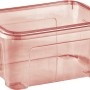 Contenitore trasparente t.b.t. in plastica, ideale per lo stoccaggio e l'organizzazione.