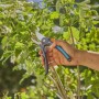 Cesoie da giardino Gardena PremiumCut tagliano legno fresco. Cesoie bypass con soft grip in uso.