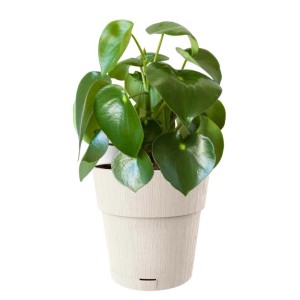 Vaso per piante plastica riciclata Bianco Gesso Ø 30 cm