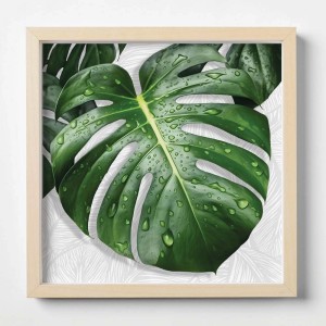 Quadri: Quadro con foglia di Monstera verde e gocce d'acqua.