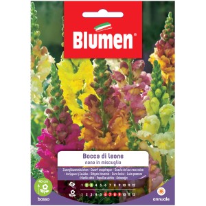 Semi di fiori per bocche di leone nane in vari colori.