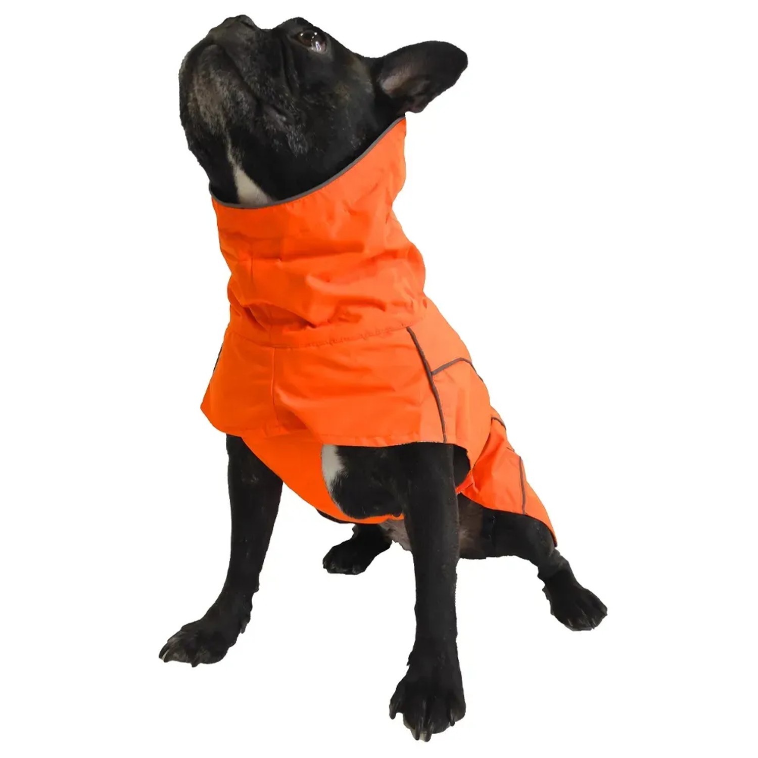 Abbigliamento arancione per cani di piccola taglia.