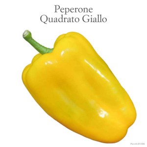 Peperone giallo quadrato per la coltivazione nel proprio giardino.