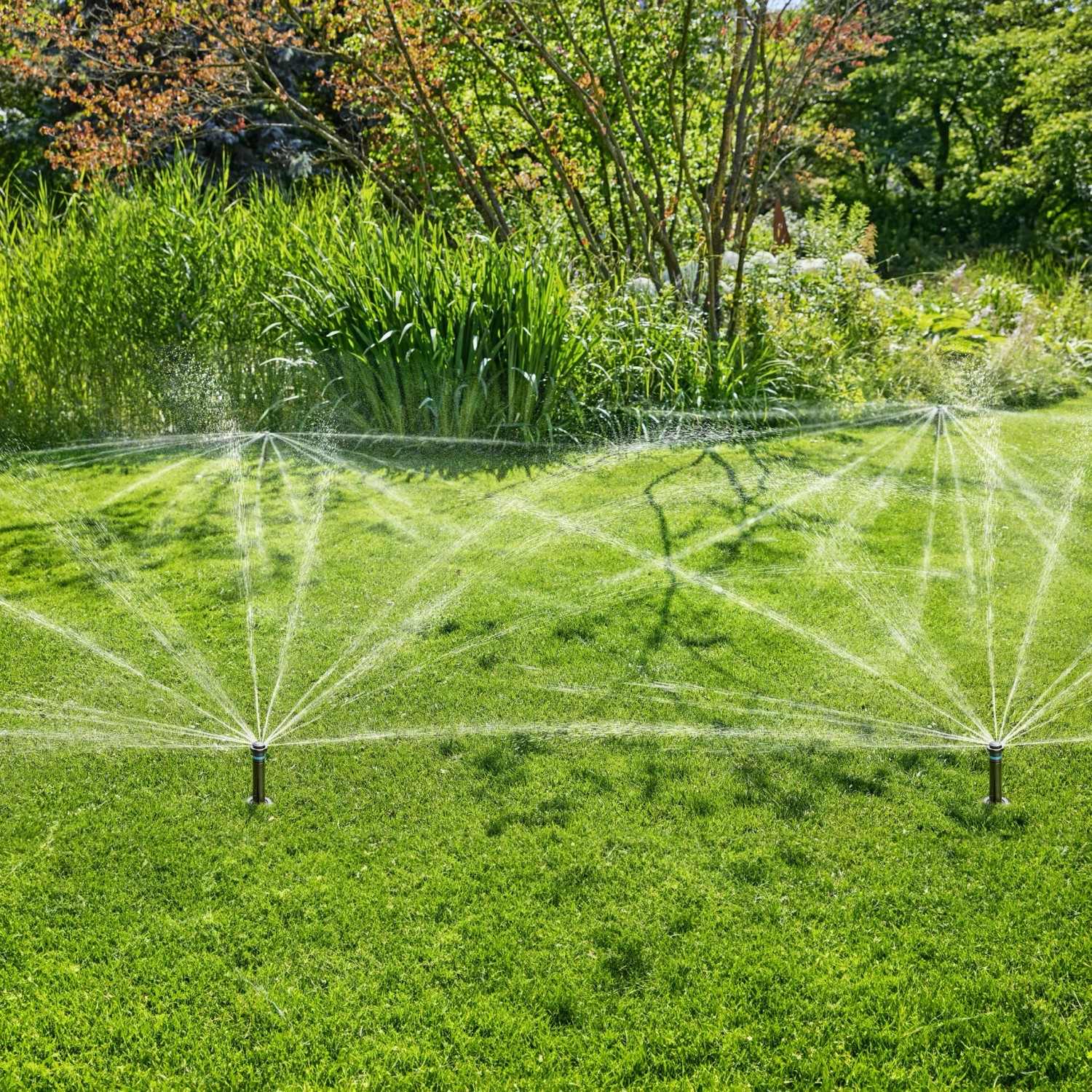 Irrigatore a scomparsa Gardena MD80 che irriga il prato. Sistema di irrigazione in uso.