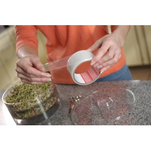 Donna che utilizza nastro adesivo trasparente Tesa Extra Power per riparare un piatto trasparente.