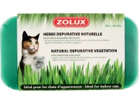 GimCat Soft-Gras Erba Per Gatti - Vaschetta 100g, Cresce In 5-8 Giorni, Ricca Di Vitamine - Foto 12