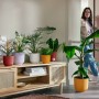 Vaso per fiori Elho Jazz, Ø 18,9 cm, giallo caldo, con piante su una credenza in soggiorno.