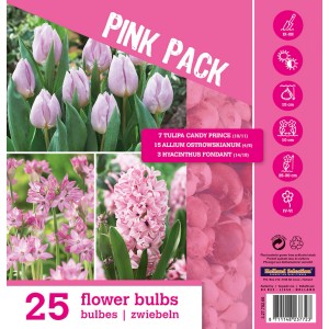 Mix di bulbi da fiore Color Pack Pink: Fiori primaverili come tulipani, allium e giacinti in rosa.