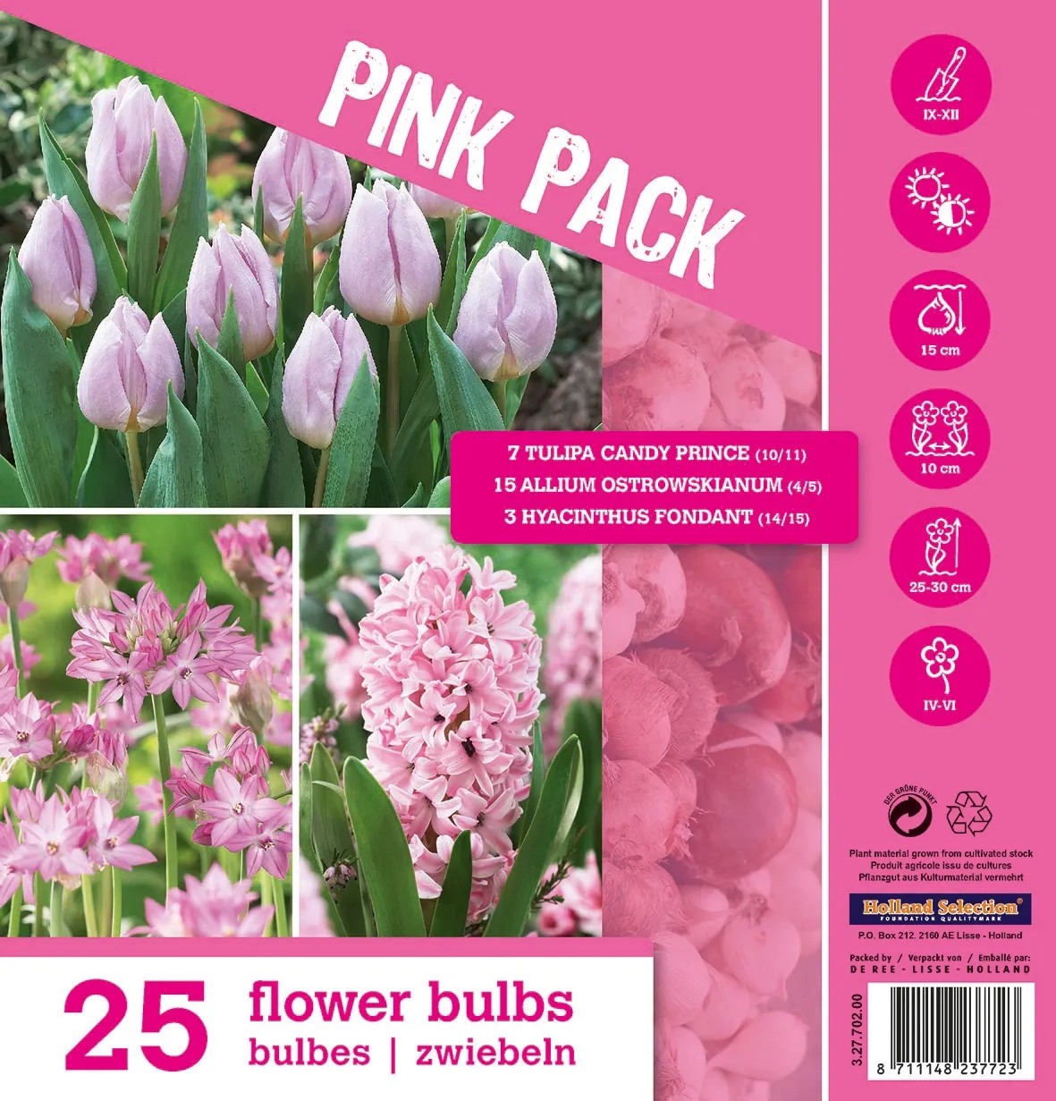 12 Bulbi Di Iris Tectorum - Fiori Perenni Per Giardino Primaverile