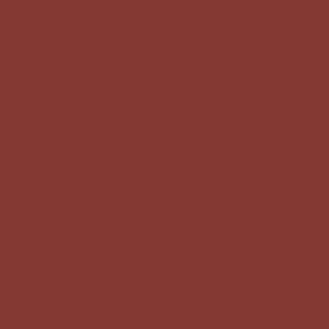 Campione di colore rosso-marrone per colori fai-da-te.