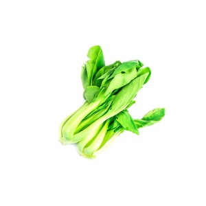 Pak Choi fresco (cavolo cinese) per la coltivazione di ortaggi in giardino.