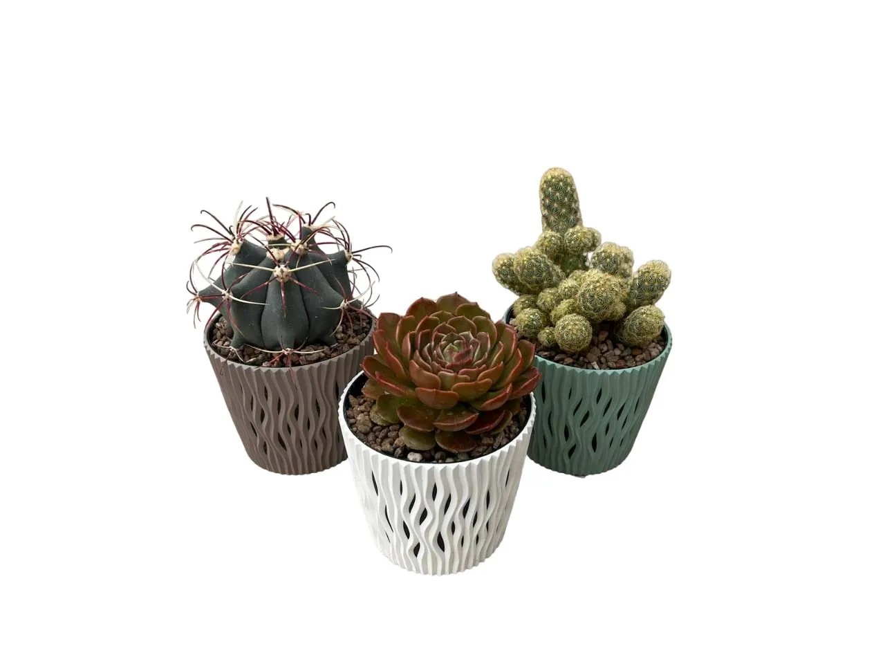 Feey Coprivaso Variado ceramica Bianco Verde 14 cm acquista da