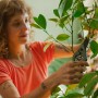 Donna pota pianta con cesoie Fiskars verdi per piante e fiori.