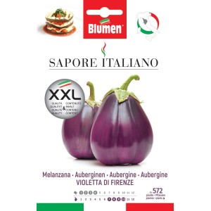 Confezione di semi di melanzana 'Violetta di Firenze', qualità XXL per l'orto.