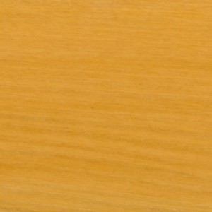 Primo piano di legno trattato con impregnante per legno.