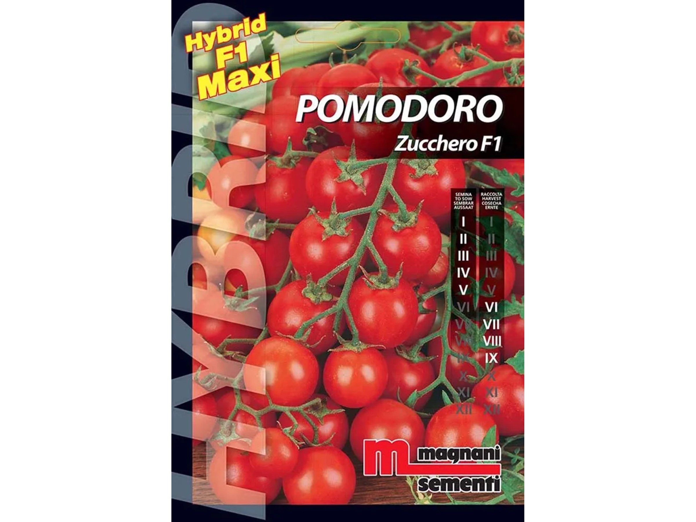 Semi Di Pomodoro Celebrity Hybrid, Confezione Bulk Da 100 Semi, Pianta Compatta A Produzione Pesante, Ideale Per Orto E Giardinaggio - 4