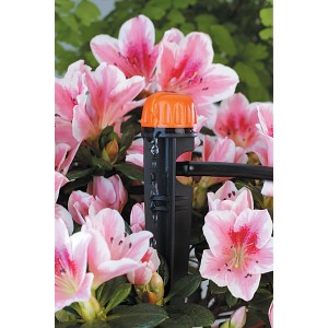 Sistema di microirrigazione t.b.t. in uso tra fiori rosa.