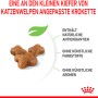 Royal Canin Kitten cibo secco: Tre crocchette a forma di osso, adatte ai gattini.