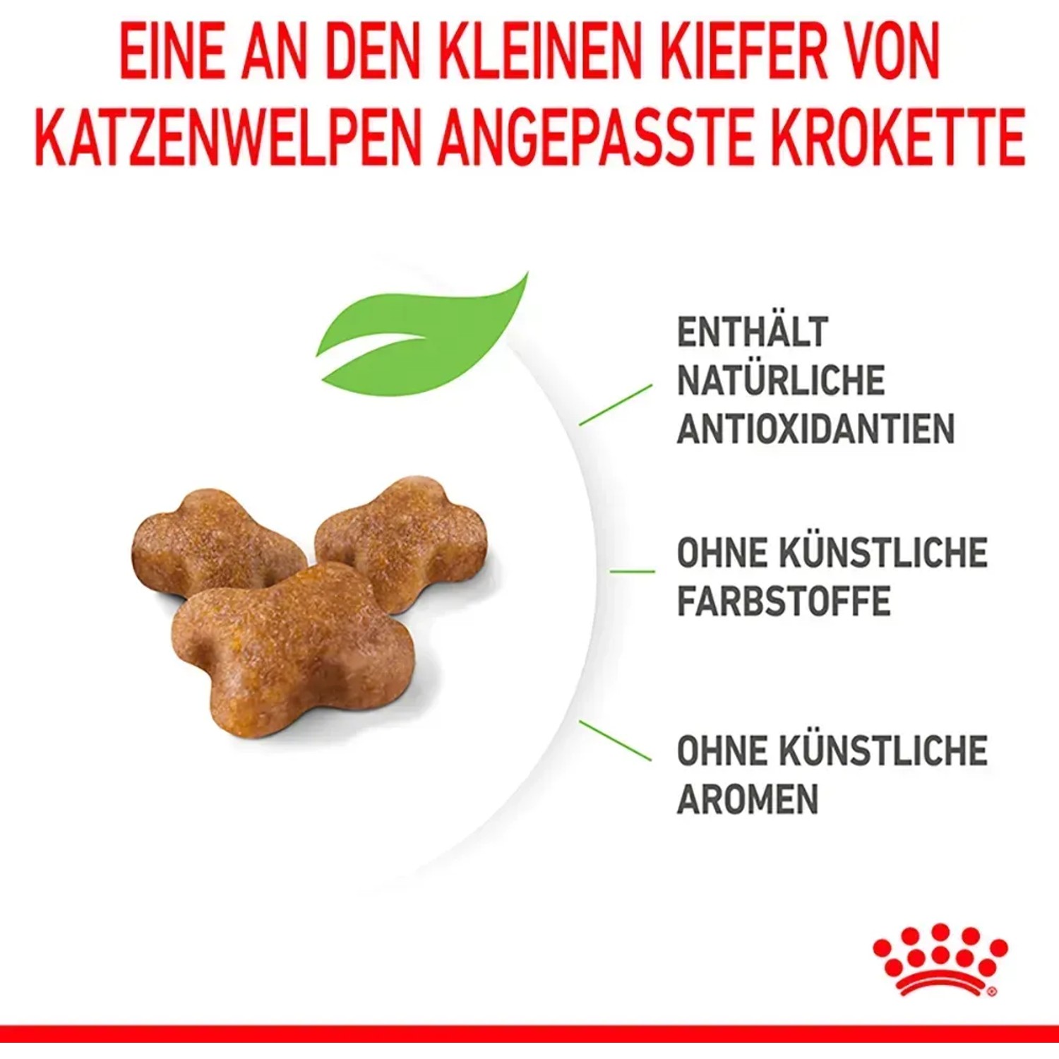 Royal Canin Kitten cibo secco: Tre crocchette a forma di osso, adatte ai gattini.