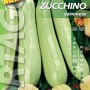Confezione di semi di zucchino genovese, semi per l'orto.