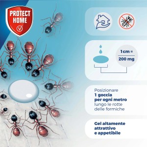 Illustrazione di formiche attratte da un'esca. Prodotto per il controllo delle formiche.