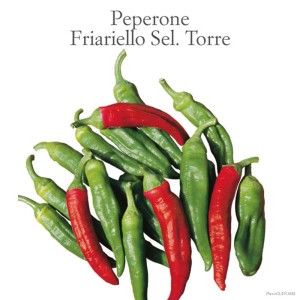 Peperoni Friariello Sel. Torre freschi, verdi e rossi, una varietà di Ortaggi da frutto.