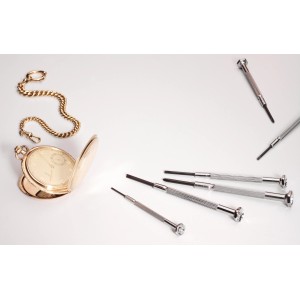 Set cacciaviti di precisione LUX, 6 pezzi, per lavori di avvitatura delicati.