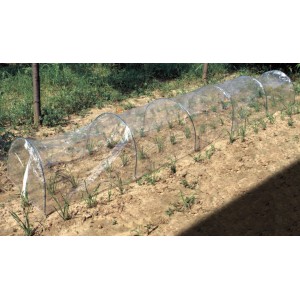 Mini serra t.b.t. trasparente per proteggere le giovani piante.