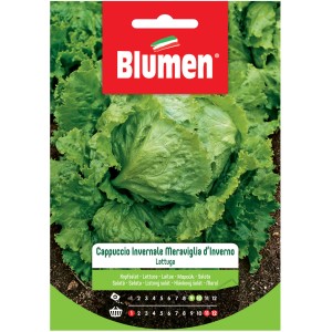 Confezione di semi 't.b.t.' per lattuga cappuccio o da taglio, ideale per l'orto in giardino.
