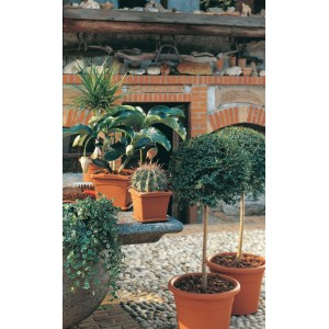 Vaso Festo Plastecnic 30 cm terracotta