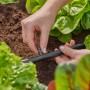 Connettore Gardena 4,6 mm in uso: una persona collega un sistema micro-goccia in giardino.