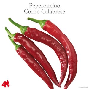 Peperoncino Corno Calabrese rosso, una varietà di Ortaggi da frutto.