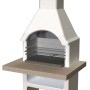 Barbecue in muratura Adige legna e carbonella piano lavoro 103x80 cm