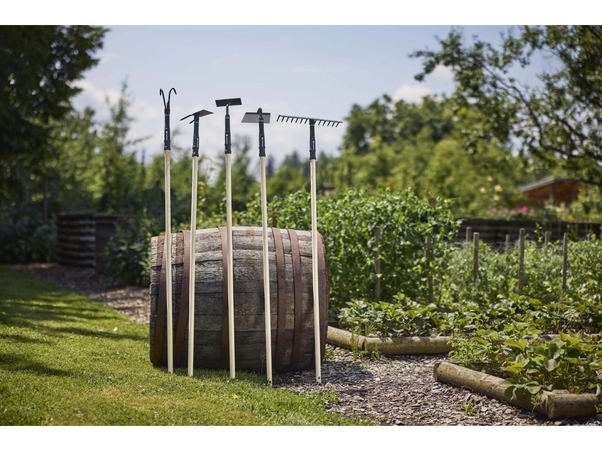 Artiglio da Giardino Acciaio a 6 Denti Manico Ergonomico Giardinaggio