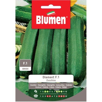 Semi Blumen Zucchino Diamant f.1