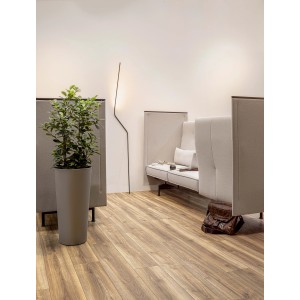 Stanza luminosa con pavimento in laminato, pianta e area salotto.