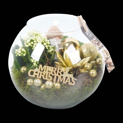 Composizione di piante invernali in un bicchiere sferico oro Ø 20 cm ca.