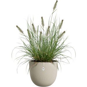 Vaso per fiori Elho Sereh beige (Ø 30 cm) con erba ornamentale per interni ed esterni.